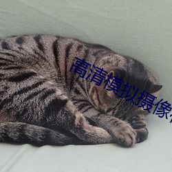 高(高)清(清)模拟(擬)摄(攝)像机