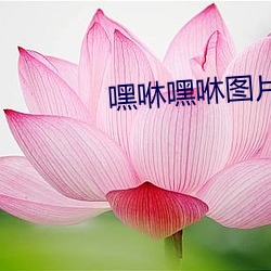 九游会登录j9入口 - 中国官方网站 | 真人游戏第一品牌