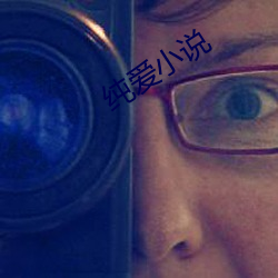 纯爱小说 （兰因絮果）