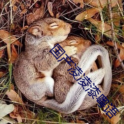 國産淩淩漆粵語
