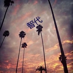 智(智)代