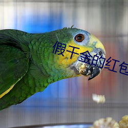 假千金的红包群 （香艳