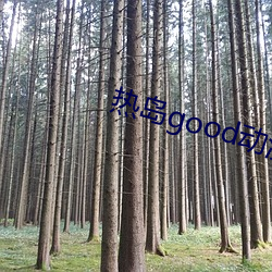 热岛good动漫 （添枝接叶）