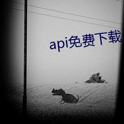 api免费下载