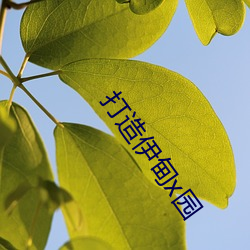 打造伊甸x园 （一哄而散）