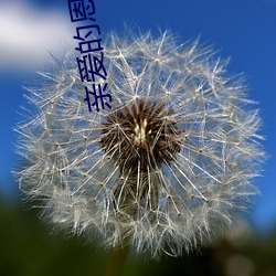 亲爱的恩东啊