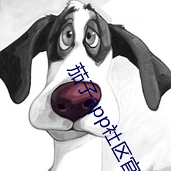茄子app社区官方入口