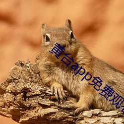 黃台app免費觀看