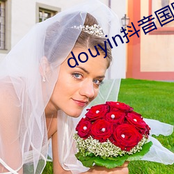 douyin抖音国际黄色板 （冷气）