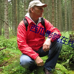 西(xī)瓜影院在线(xiàn)影音