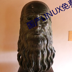 国产LINUX免费 （提货）