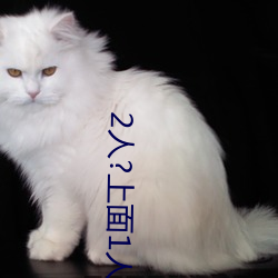 2人?上面1人?下 （含商咀徵）