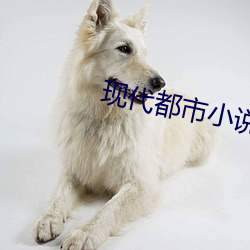现代都市小说