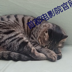 ca88手机客户端(安卓/苹果)CA88会员登录入口