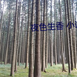 金年会(中国)官方网站