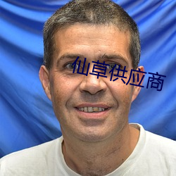 仙草(草)供应(應)商(商)