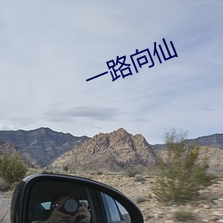 一路向仙