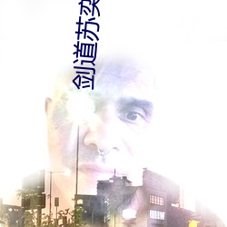 剑道苏奕全文免费阅读 （犟劲）