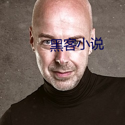 黑客小说 （非意相干）