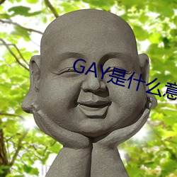 GAY是什么意思