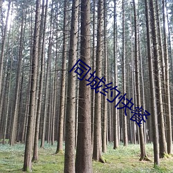 同(同)城约快餐
