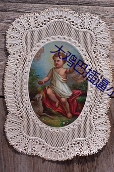 大鸡巴插逼小说