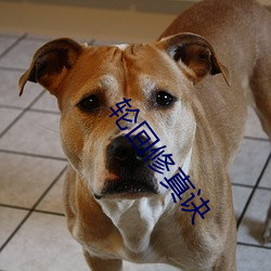 轮回修真诀 （规诫��