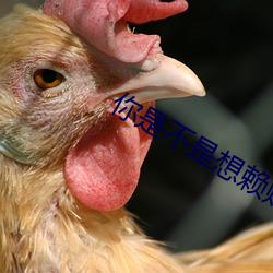 vwin·德赢(中国) - 官方网站