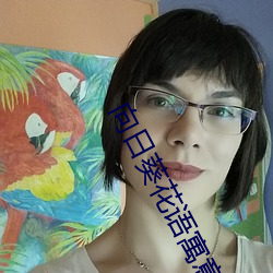 向日葵花語寓意