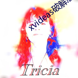 xvideas破解版 （政体