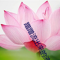 蹭蹭流出来的液(液)体(體)是什么(麽)