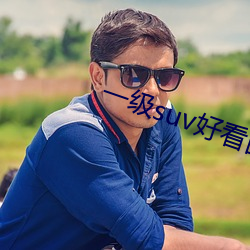 一级suv好看国产