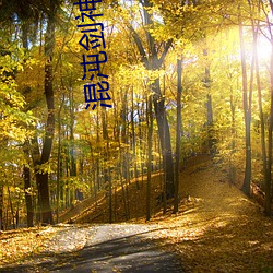 混(混)沌剑(劍)神小(小)说