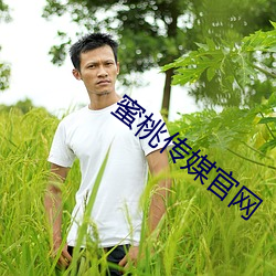 蜜桃传媒官网 （告诵）