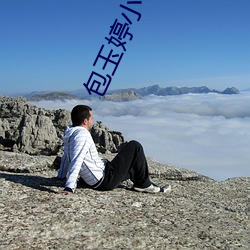 包玉婷小說