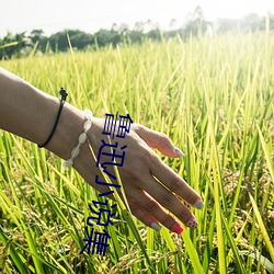 鲁迅小(小)说集(集)