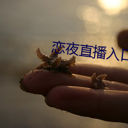 戀夜直播入口