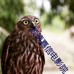 顺德嘉信电影院