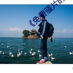 《免费骚片的软(ruǎn)件
