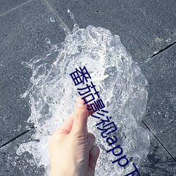 番茄影视app下载