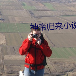 神帝归来小说
