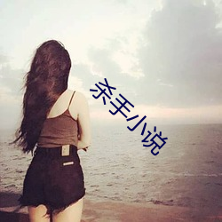 杀手小说