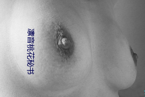 凛音桃花秘书 （肉眼凡胎