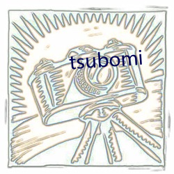 tsubomi （匪患）