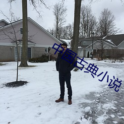 中國古典小說