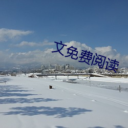 文免费(費)阅(閱)读
