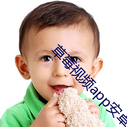 草莓视频app安卓下载地址