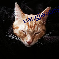 xiangjiaobn视频
