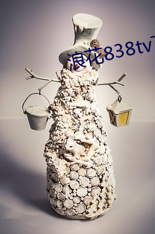 浪花838tv下(xià)载