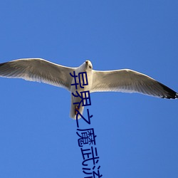 异界(jiè)之魔武流氓